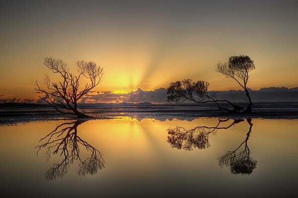 Sunset reflection in the water surface