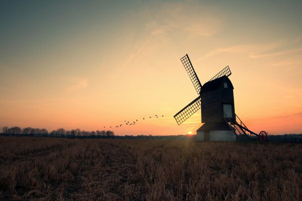 Abend Sonnenuntergang mit fliegenden Vögeln