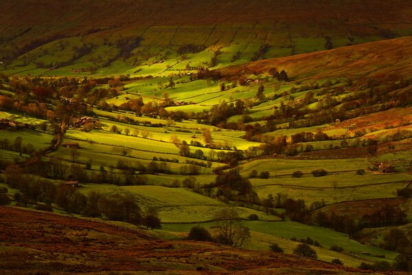 Rozległe pola Yorkshire z plamami słonecznymi