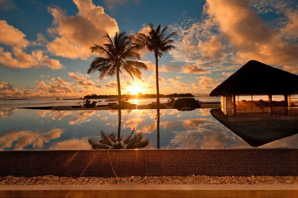 A house on an island with palm trees in the tropics