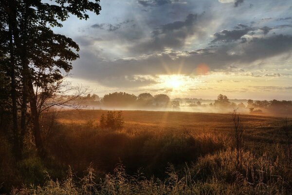 Przestrzeń pól w promieniach świtu