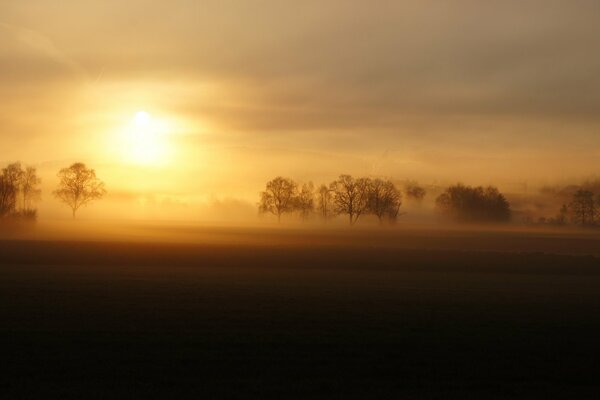 Nebliger Sonnenuntergang in einem verlassenen Feld