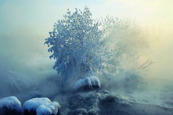 Du paysage hivernal souffle le froid