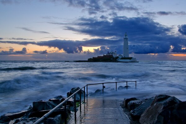 Monyak au milieu de la mer de nuit