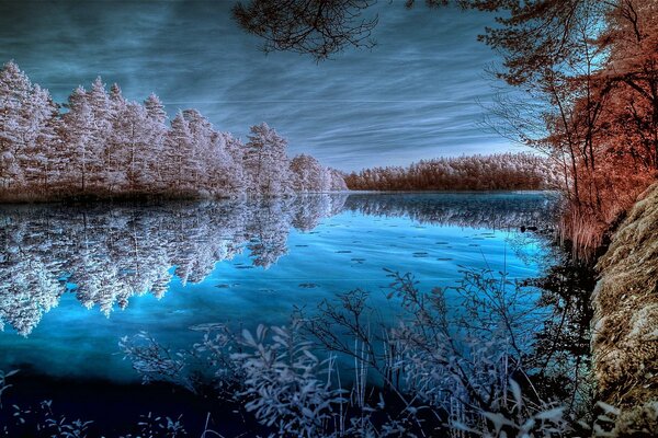 Le lac gelé reflète les arbres enneigés