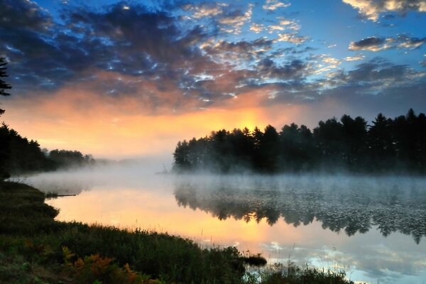 Sunset behind the forest by the river