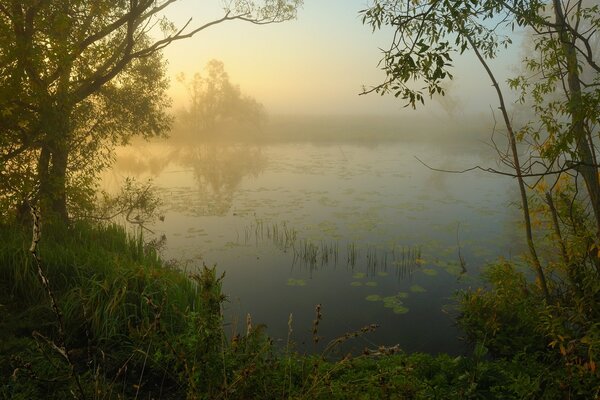 Morning spring fog over the lake