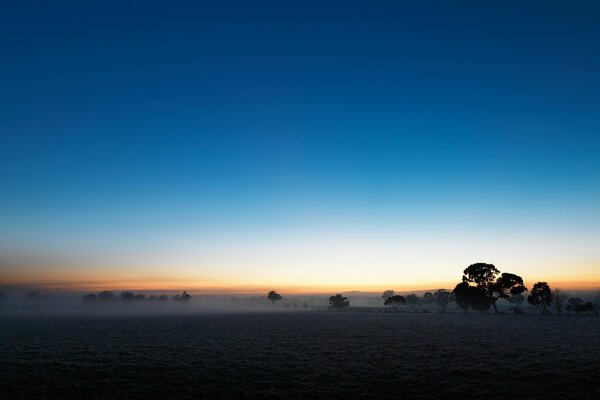 A misty field at dusk under a blue sky