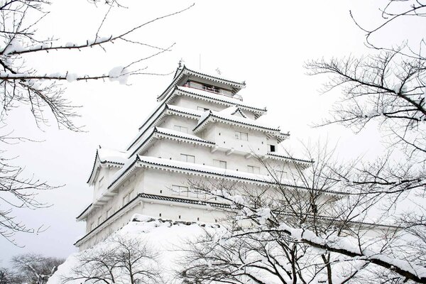 Castillo cubierto de nieve en invierno en Japón