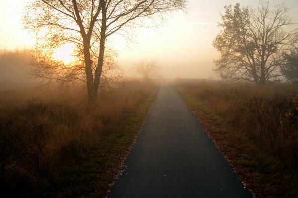 Landscape of an early foggy morning