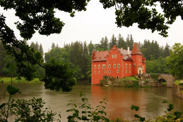 A wonderful castle on a pond among trees