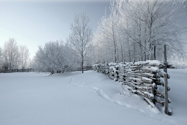 Natura inverno Modello, recinzione, alberi in argento