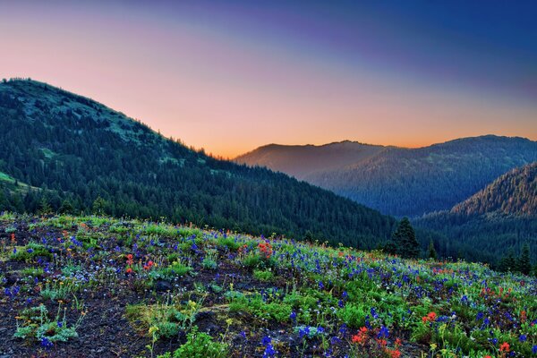 Mountains in the setting sun