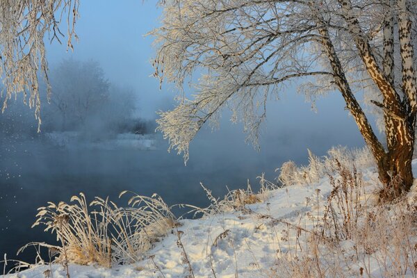 Mglista rzeka w zimowym krajobrazie