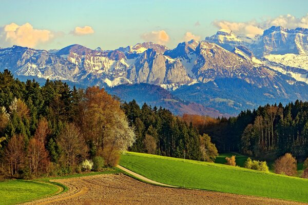 The road passes through the field, meadow and mountains