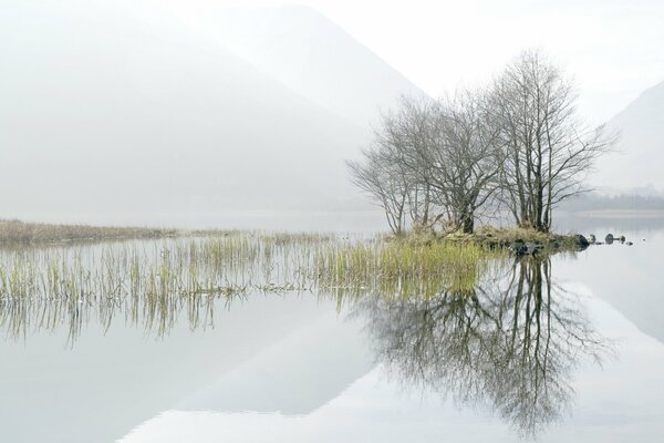 Niebla de la mañana en el lago de montaña 