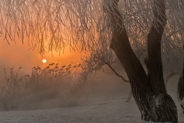 Winternebel auf Sonnenaufgang Hintergrund