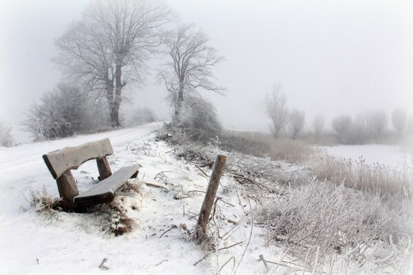 Banco viejo en el camino nevado de niebla