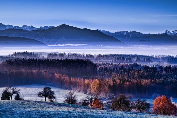 Winter nature in the forest and field