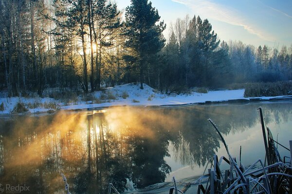 Lumière du soleil du matin sur la rivière d hiver