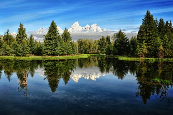 Die Landschaft von Wald und Bergen spiegelt sich im See wider 