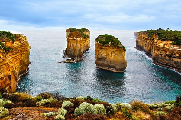 Морская лагуна на берегу кусты