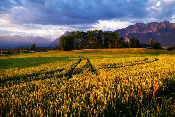 So beautiful are the Alpine expanses