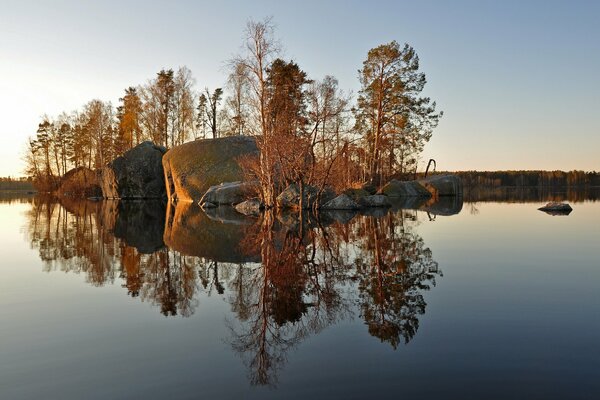 Bäume und Steine am See