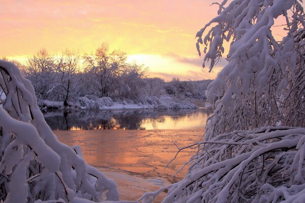 Die Schönheit der Natur im Winter am Flussufer