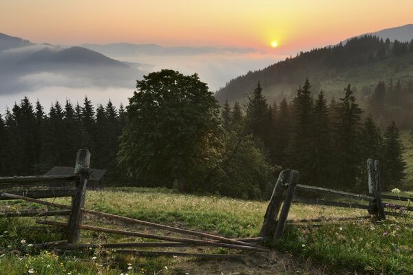 Fog in the Carpathian mountains