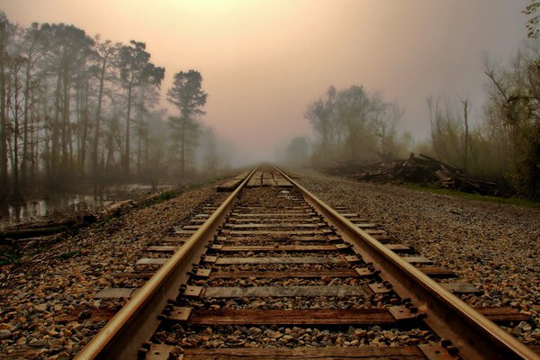 Rails et route à travers la forêt dans le brouillard