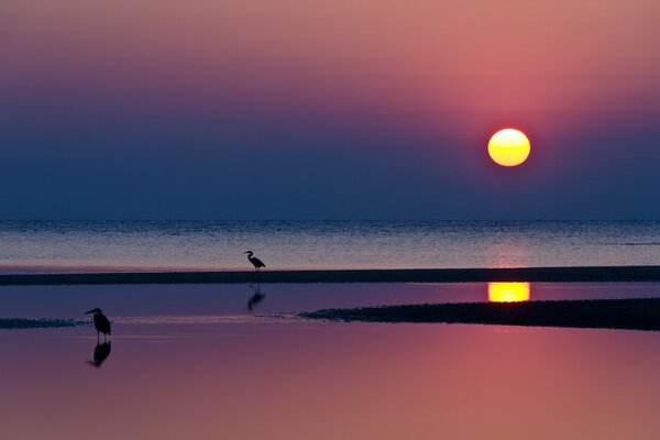 Puesta de sol carmesí junto al mar