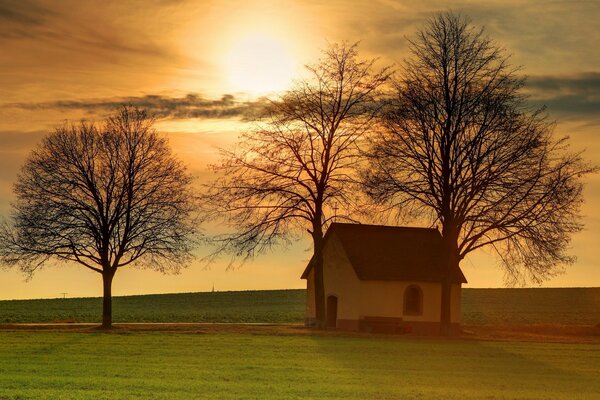 Trees and a house in a field. Beautiful sunset