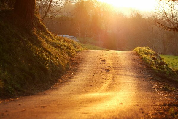 Abendstraße vor Sonnenuntergang Hintergrund