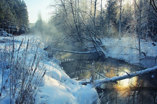 Snow-covered banks of an unfrozen river