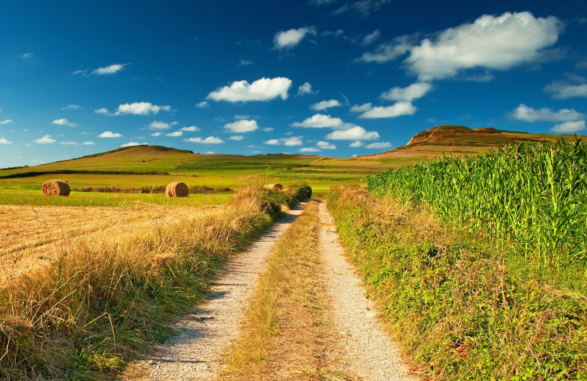 landstraße feld ansicht landschaft natur blau himmel bild stapel heu mais weite blau horizont