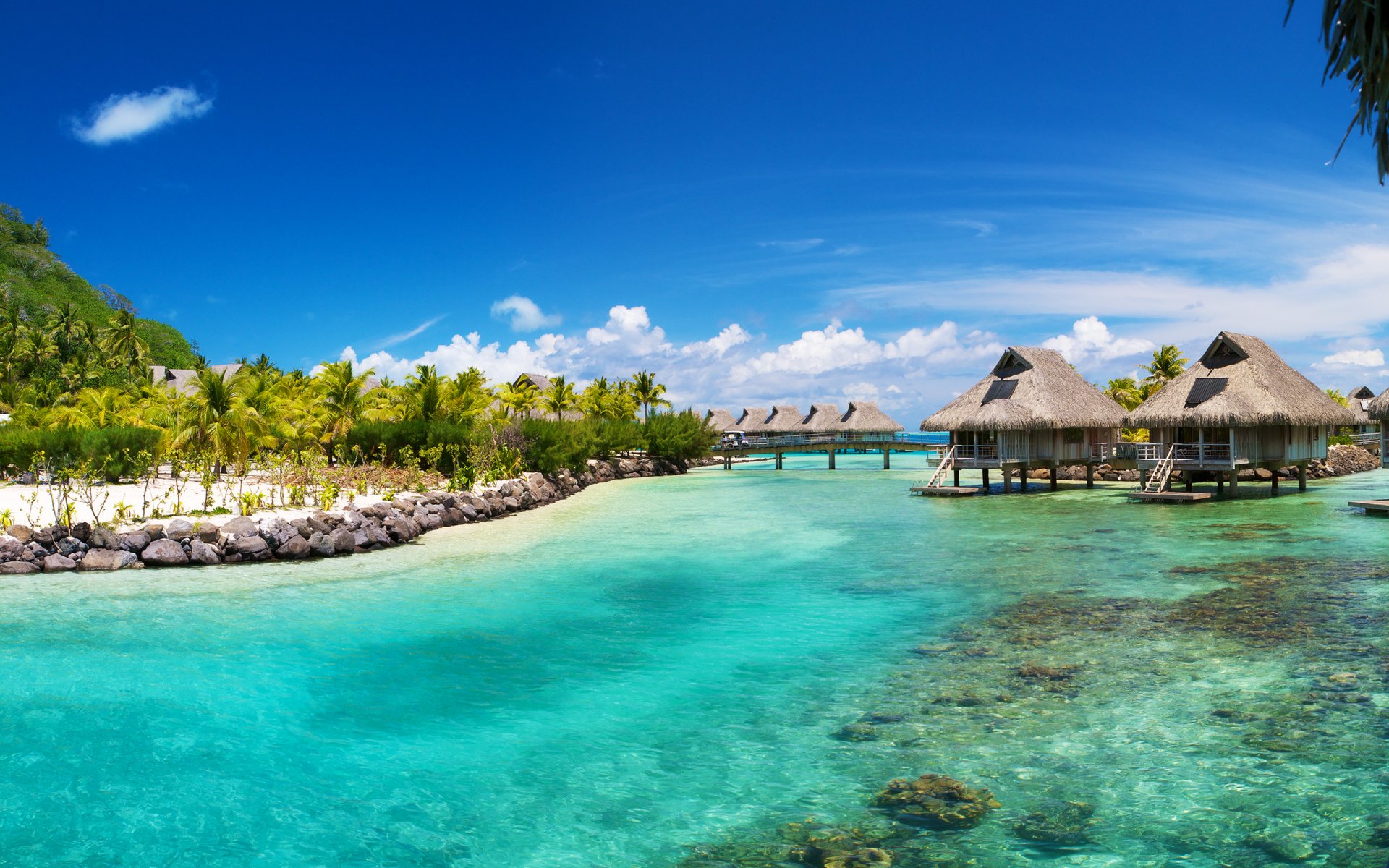 bora bora océano mar palmeras trópicos cabañas