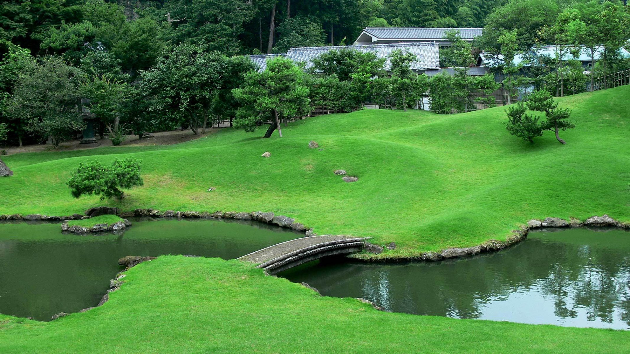 japón jardín puente arroyo césped