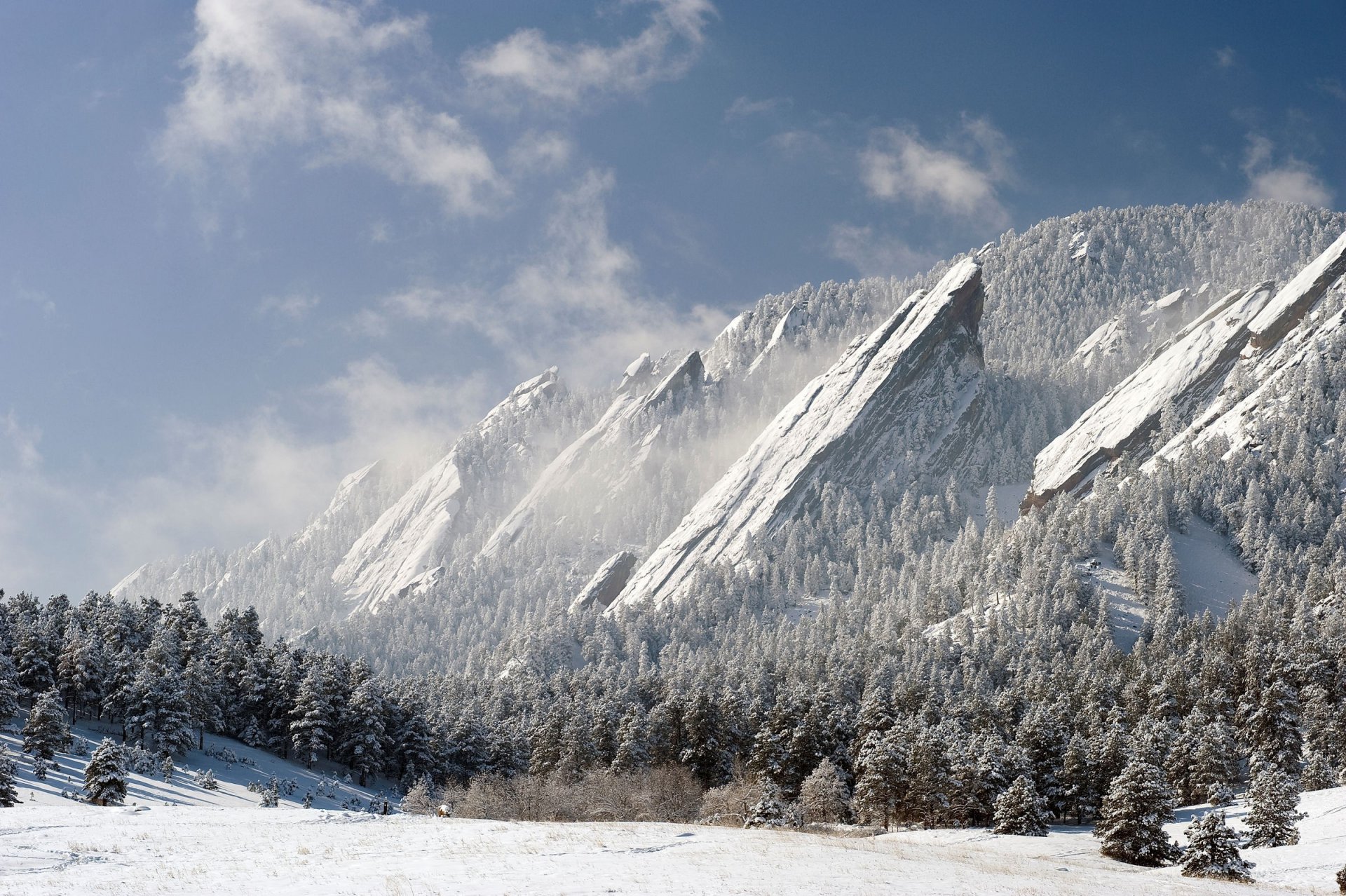 rock mountain forest winter snow