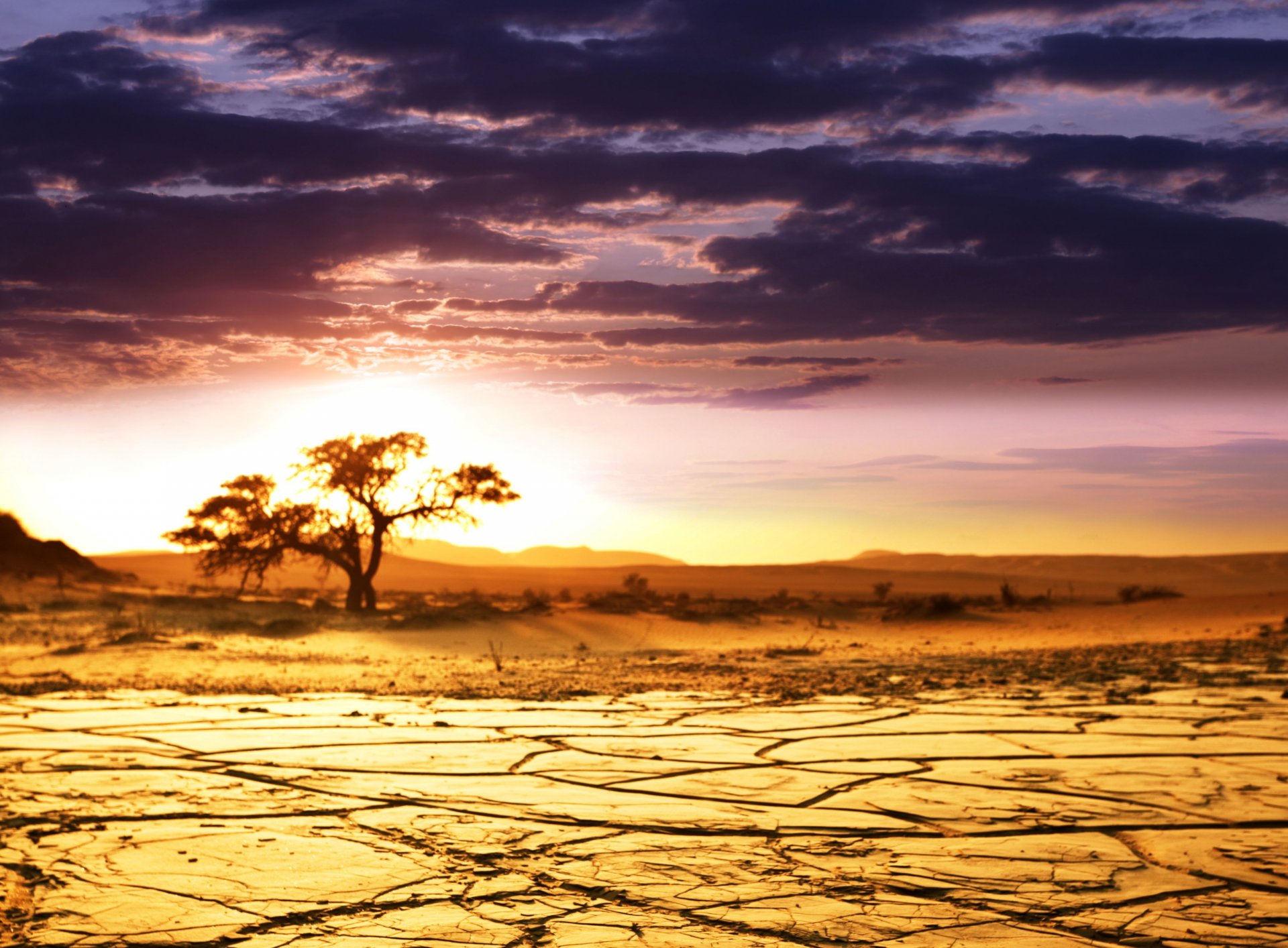 afrikanische landschaft afrika savanne landschaft horizont himmel wolken schönheit baum sand morgendämmerung