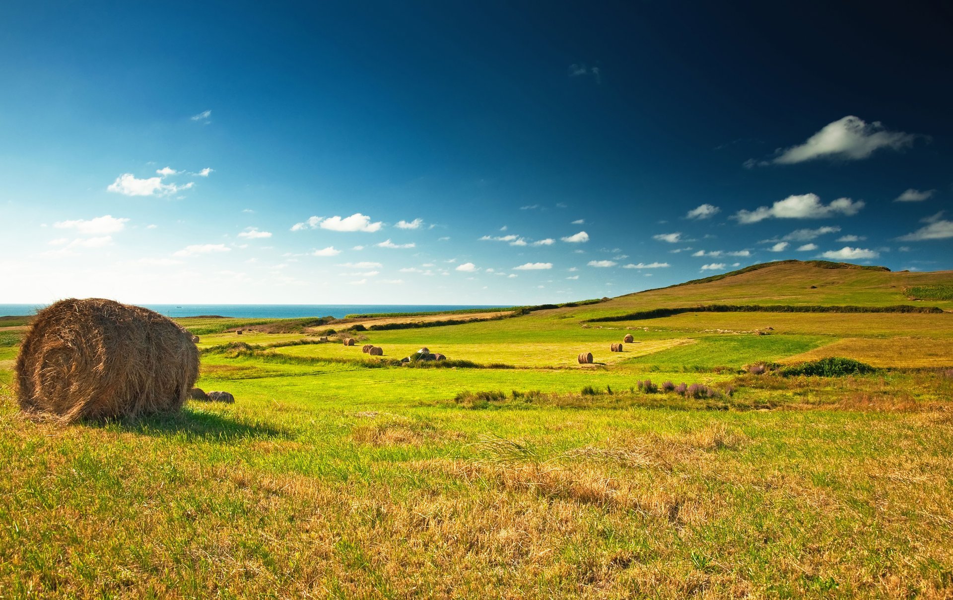 green field landscape beautiful view meadow village haystack hay blue sky clouds horizon