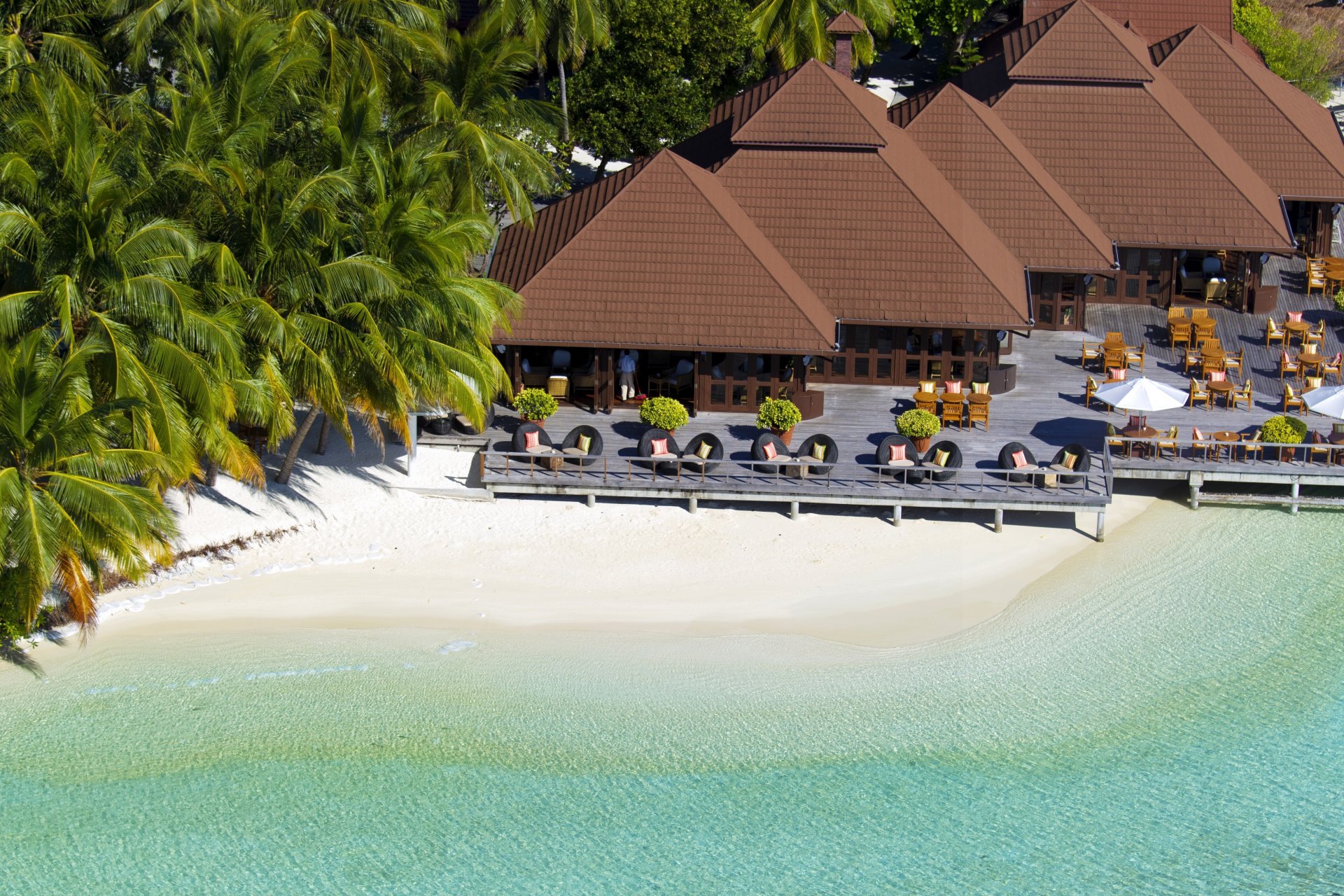 maldives seychelles island shore beach sand palm tree