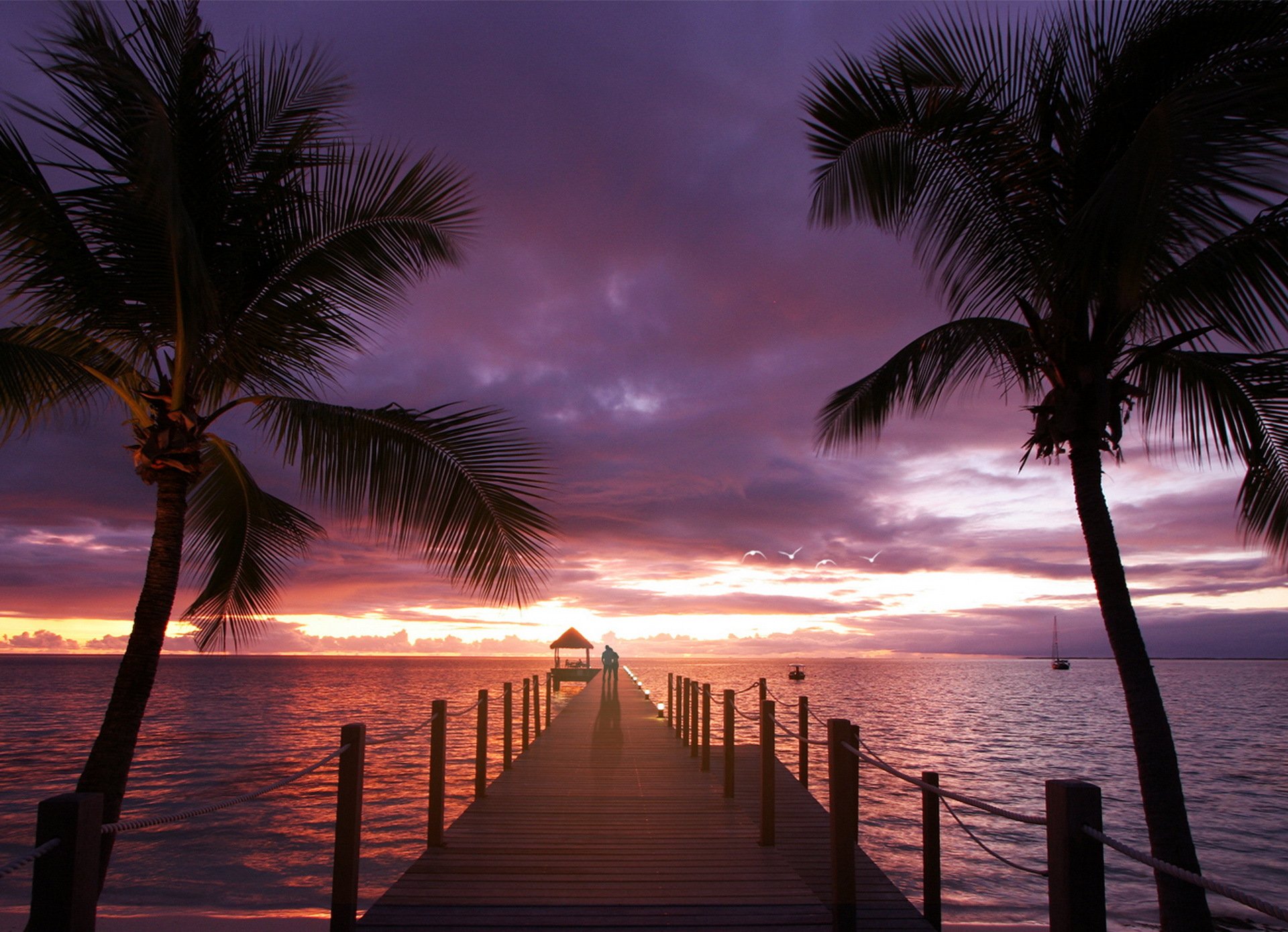 palme oceano mare amore tramonto