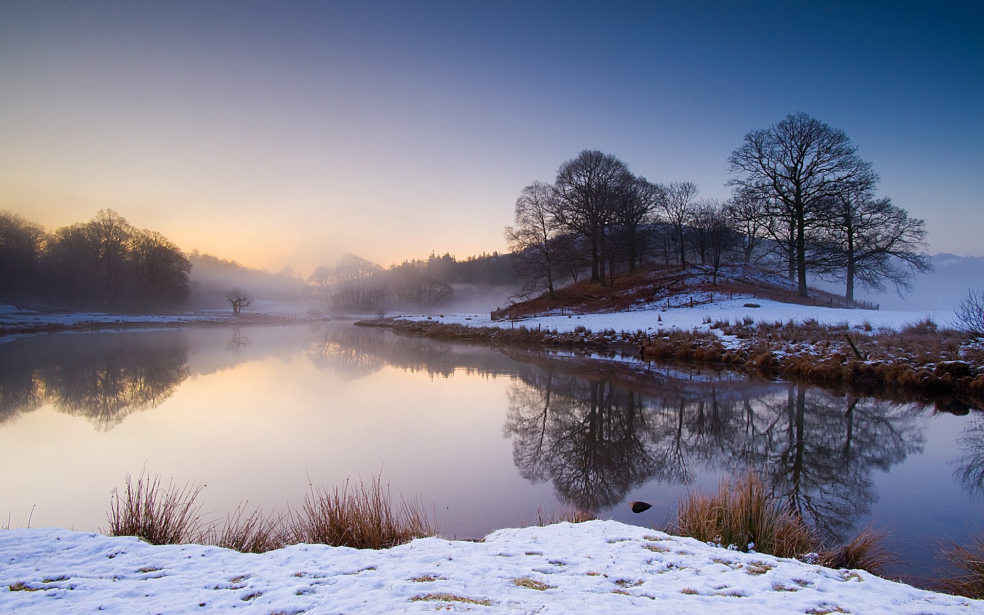 nature landscape river beach tree winter snow morning