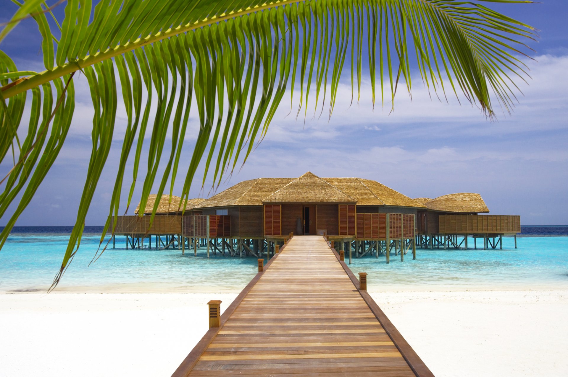 océan plage côte sable bungalow ciel palmier branche nature