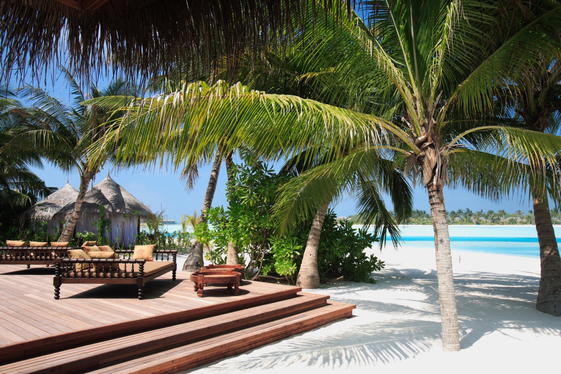 maldives plage palmiers sable maison océan.toile de fond