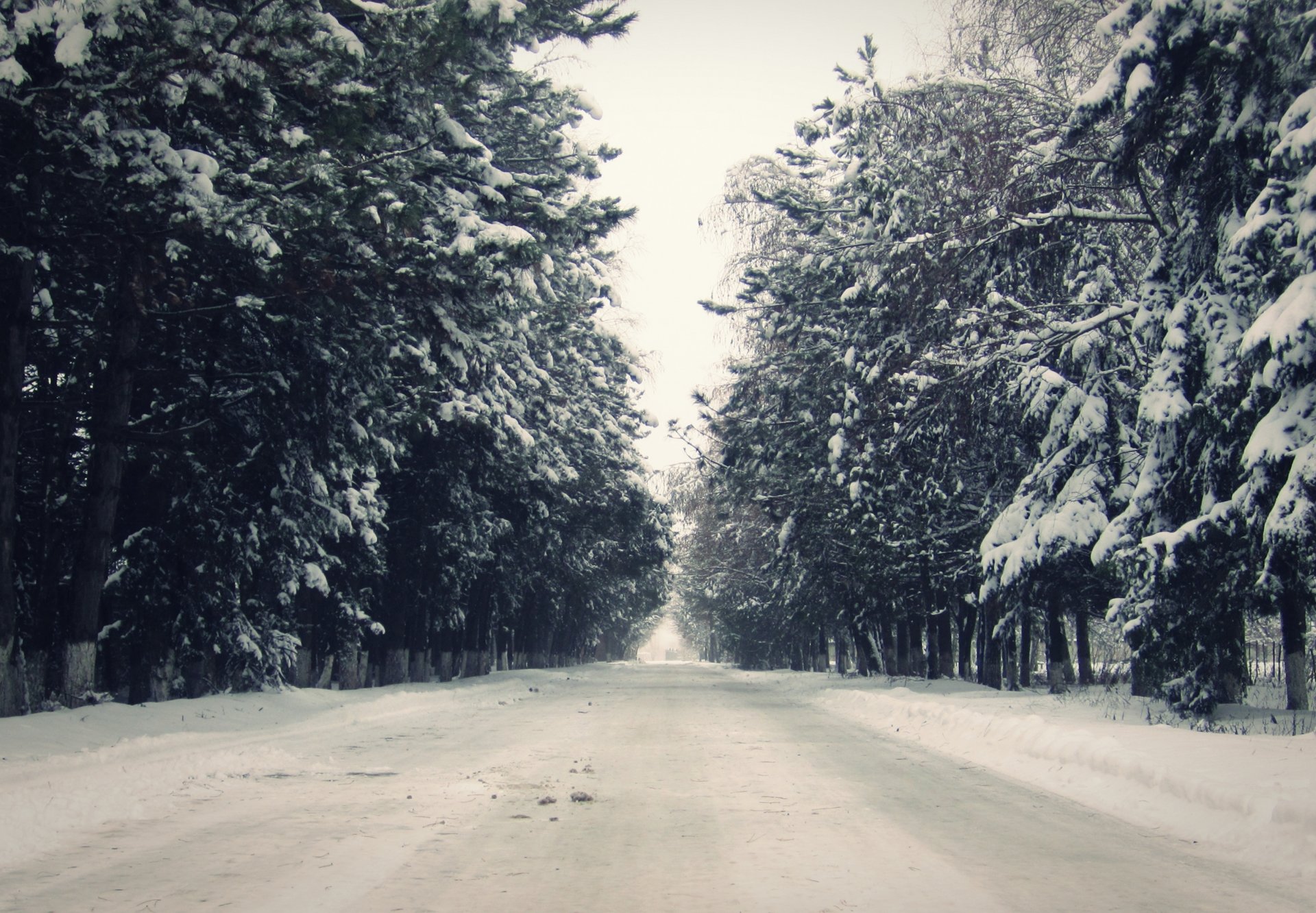 landscape winter snow