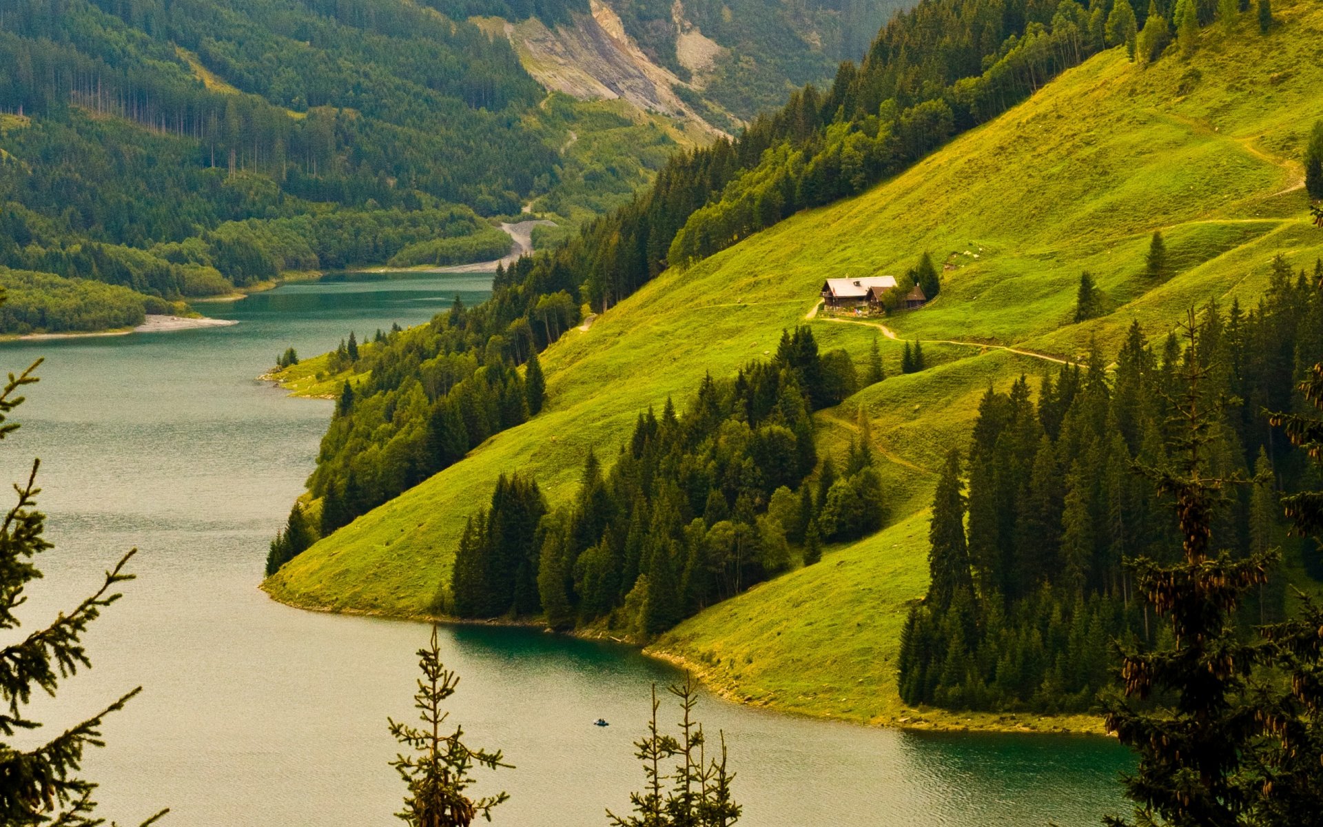 nature paysage montagnes collines rives plantes arbres forêt rivière fond fond d écran