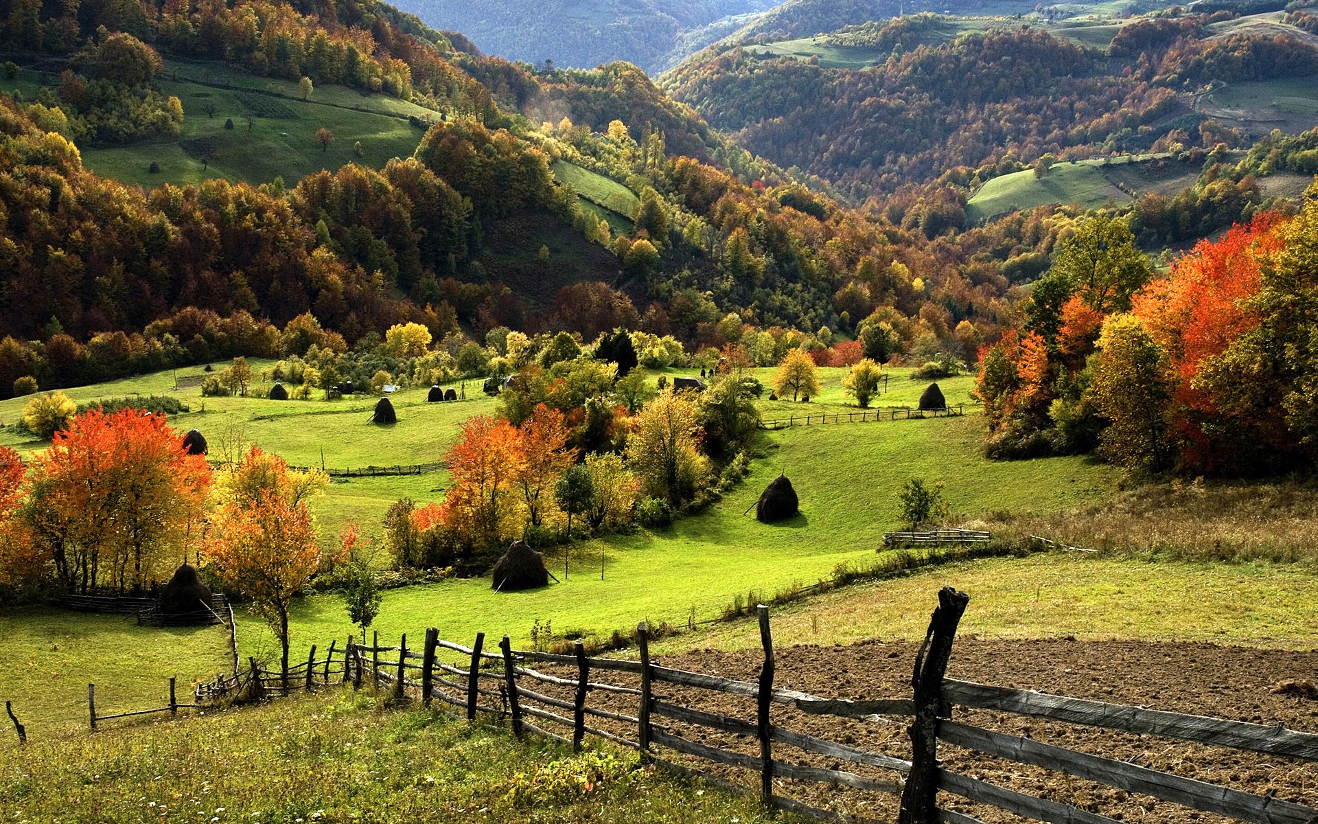 paesaggio natura verde montagne erba foresta alberi recinzione 1920x1200