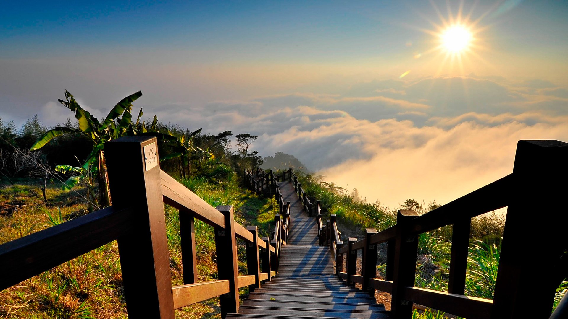 landscape nature stairs fog sun view